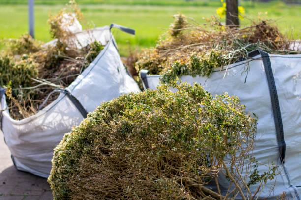 Best Affordable Junk Removal Services  in Ringwood, NJ